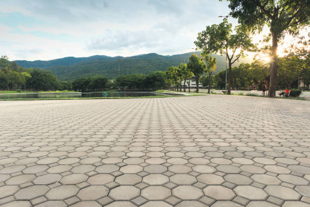 Best Local Driveway Pavers  in Shougal, WA